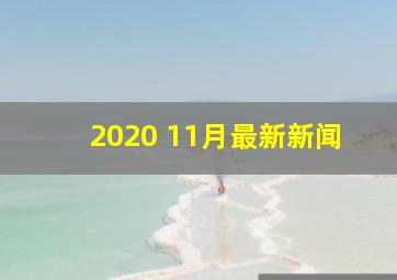 2020 11月最新新闻